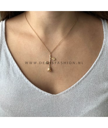 Roos ketting goudkleurig