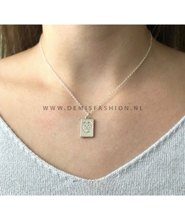 Zilverkleurige leeuw ketting Jos