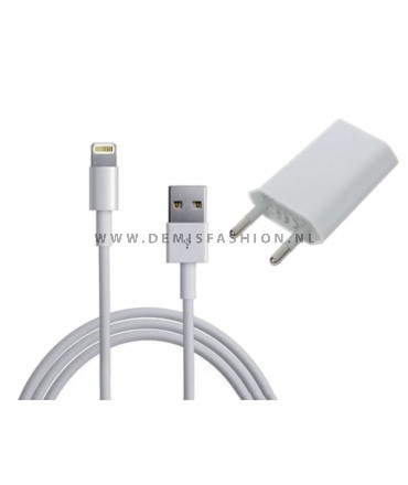 2 in 1 charger IPhone