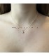 Zilverkleurige ster ketting Rosita