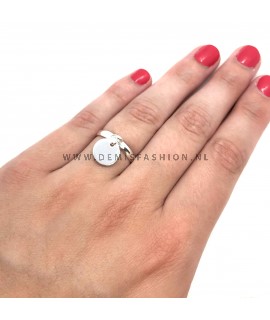 Zilverkleurige ring met munt bedel