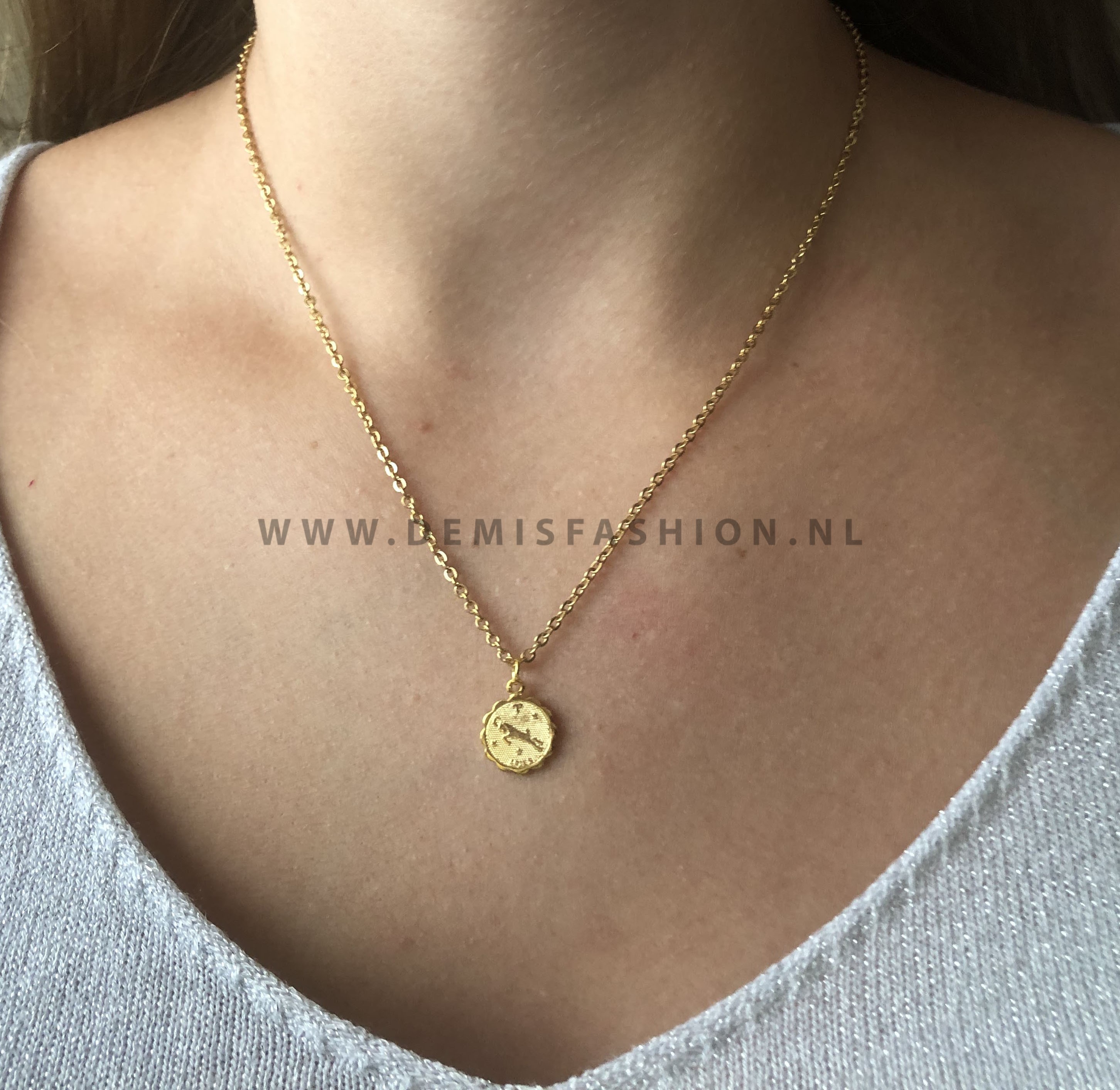 Bewijzen ijs pin Steenbok sterrenbeeld ketting goud - Demi's Fashion