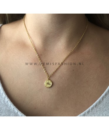 Leeuw sterrenbeeld ketting goud