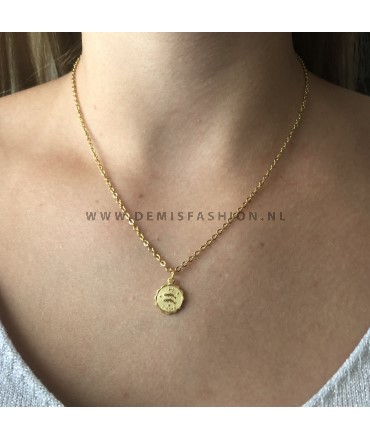 Vissen sterrenbeeld ketting goud