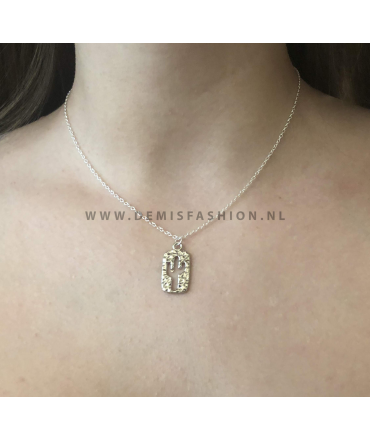 Zilverkleurige cactus ketting