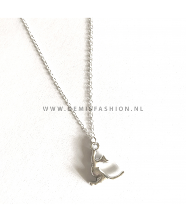 Zilverkleurige kat ketting David