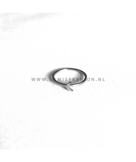Zilverkleurige maan ring Dani