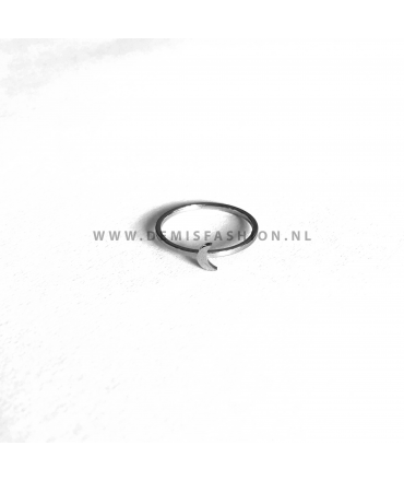 Zilverkleurige maan ring Dani