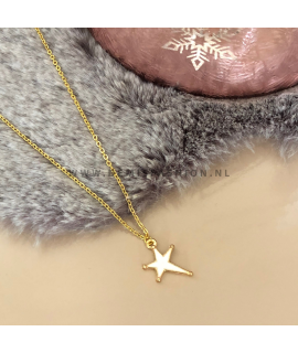Witte ster ketting Emily
