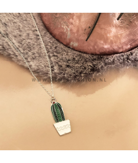 Cactus ketting wit potje