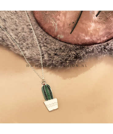 Cactus ketting wit potje