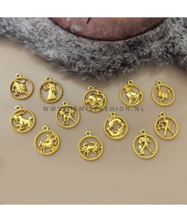 Sterrenbeeld ketting goudkleurig