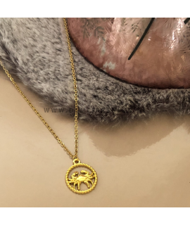 Sterrenbeeld ketting goudkleurig