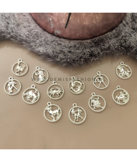Sterrenbeeld ketting zilverkleurig