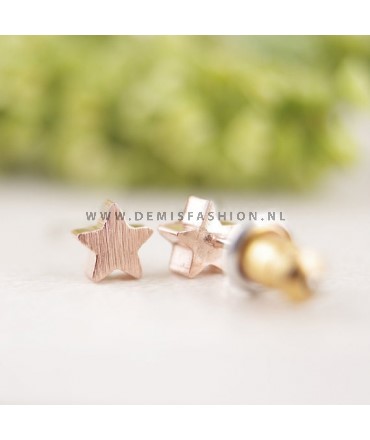 Rosé ster oorbellen Monique