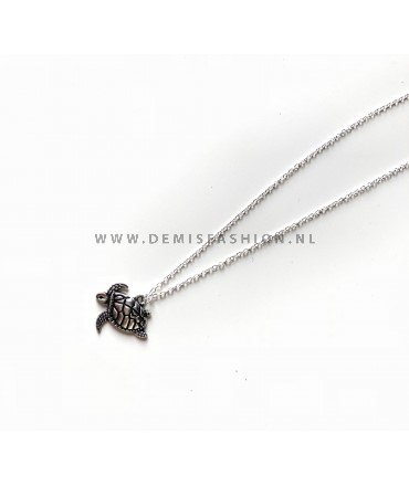 Kleine schildpad ketting